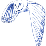 Dr. Schüler Management & Consulting GmbH Logo